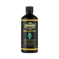 Fermented Vitamin B Complex 8 fl oz