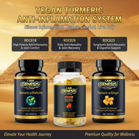 Vegan Turmeric Anti-Inflammation System